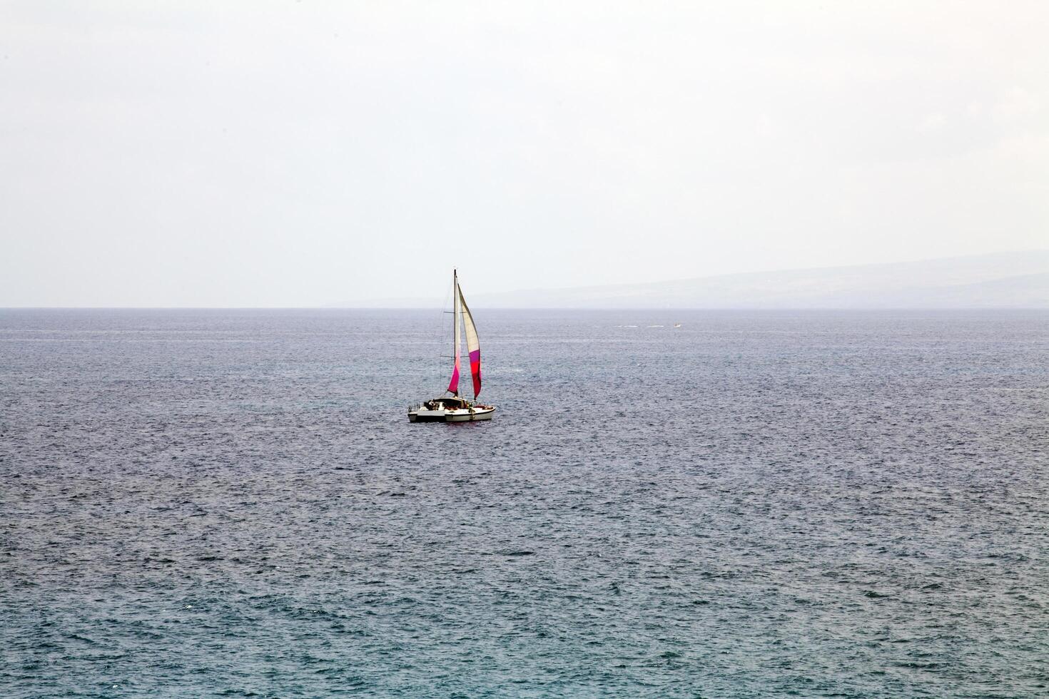 Kona, HI, 2011 - Lone catamaran sailboat on mild sea sailing away photo