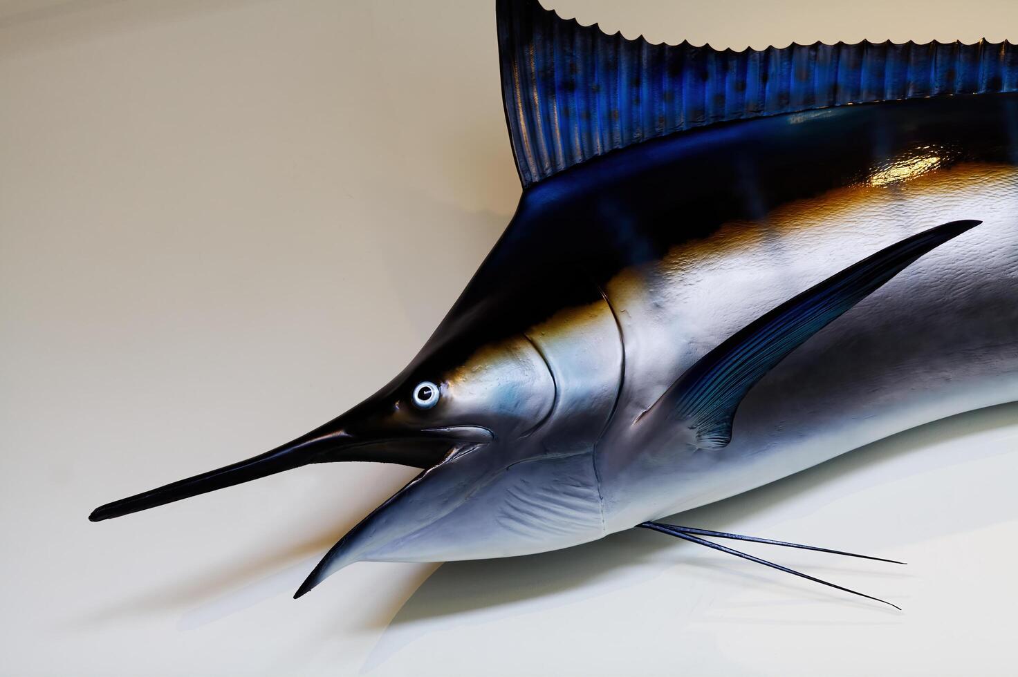 Bodega Bay, CA, 2011 - Front Of Large Marlin Model Fish Mounted On Wall photo