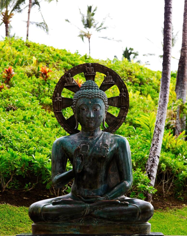 Kona, HI, 2011 - Bronze Buddha Statue Big Island Hawaii Green Plants photo