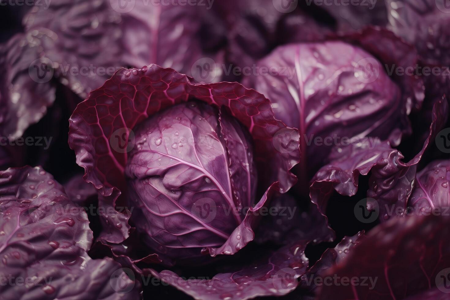 AI generated Red cabbage closeup. Generate AI photo