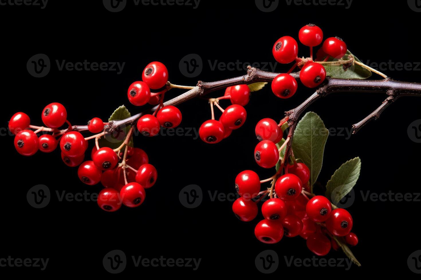 AI generated Red berries branch fall. Generate Ai photo