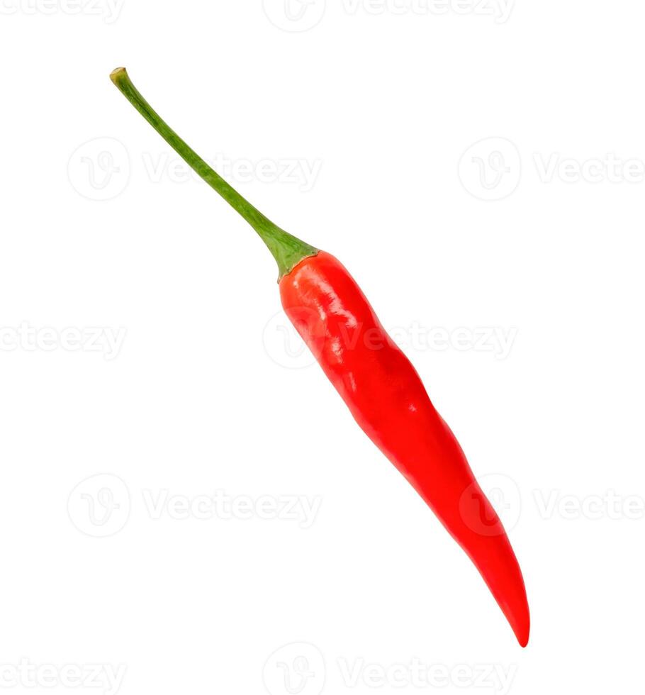 Top view of red chili pepper isolated on white background with clipping path photo