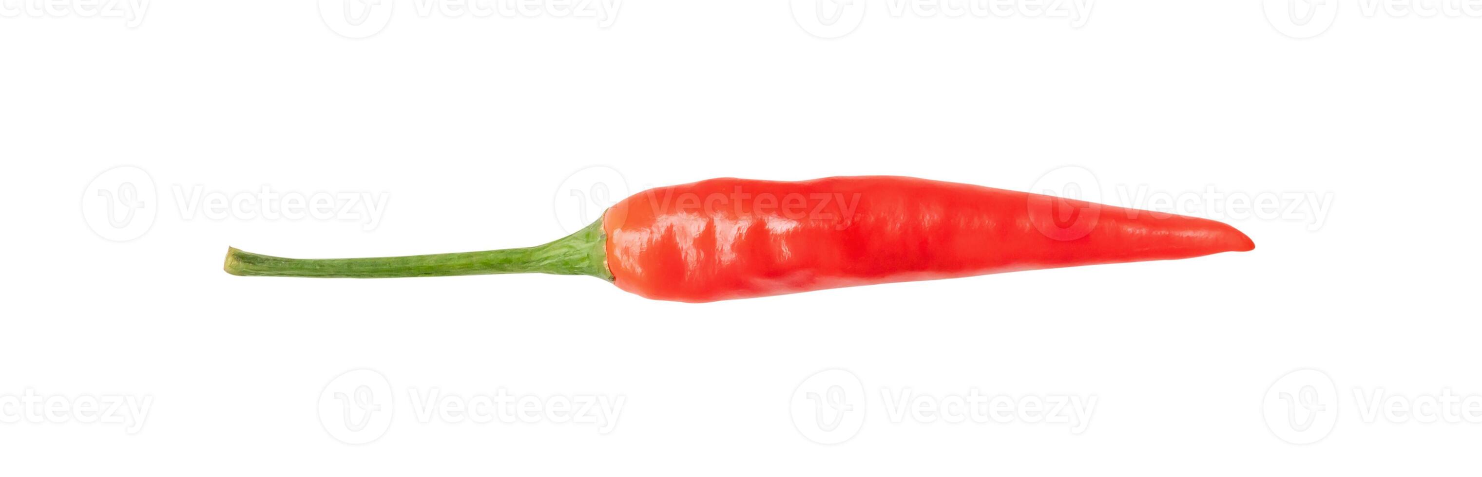 Top view and flat lay of single fresh red chili pepper isolated on white background with clipping path photo