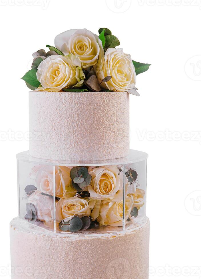 Beautiful multi-tiered wedding cake with flowers photo