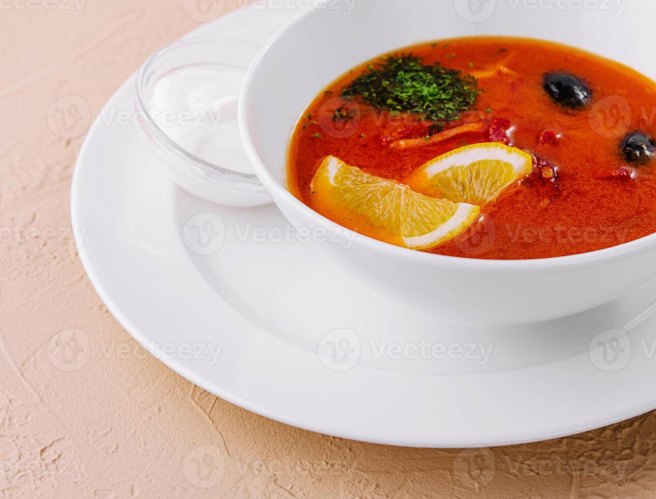 soup solyanka closeup in a bowl photo