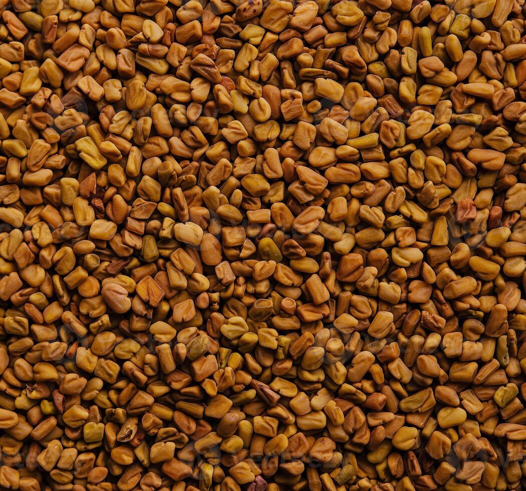 Sesame Seeds background or texture photo