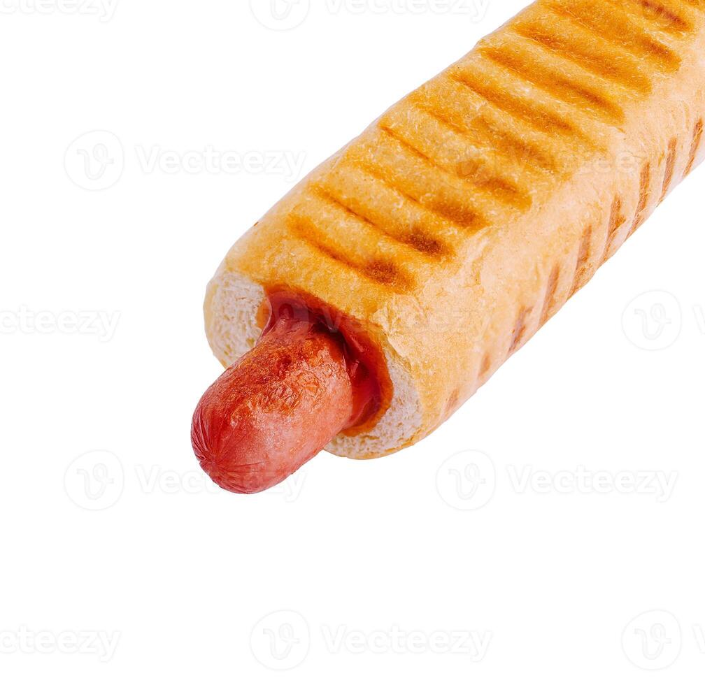 hot dog isolated on white background photo