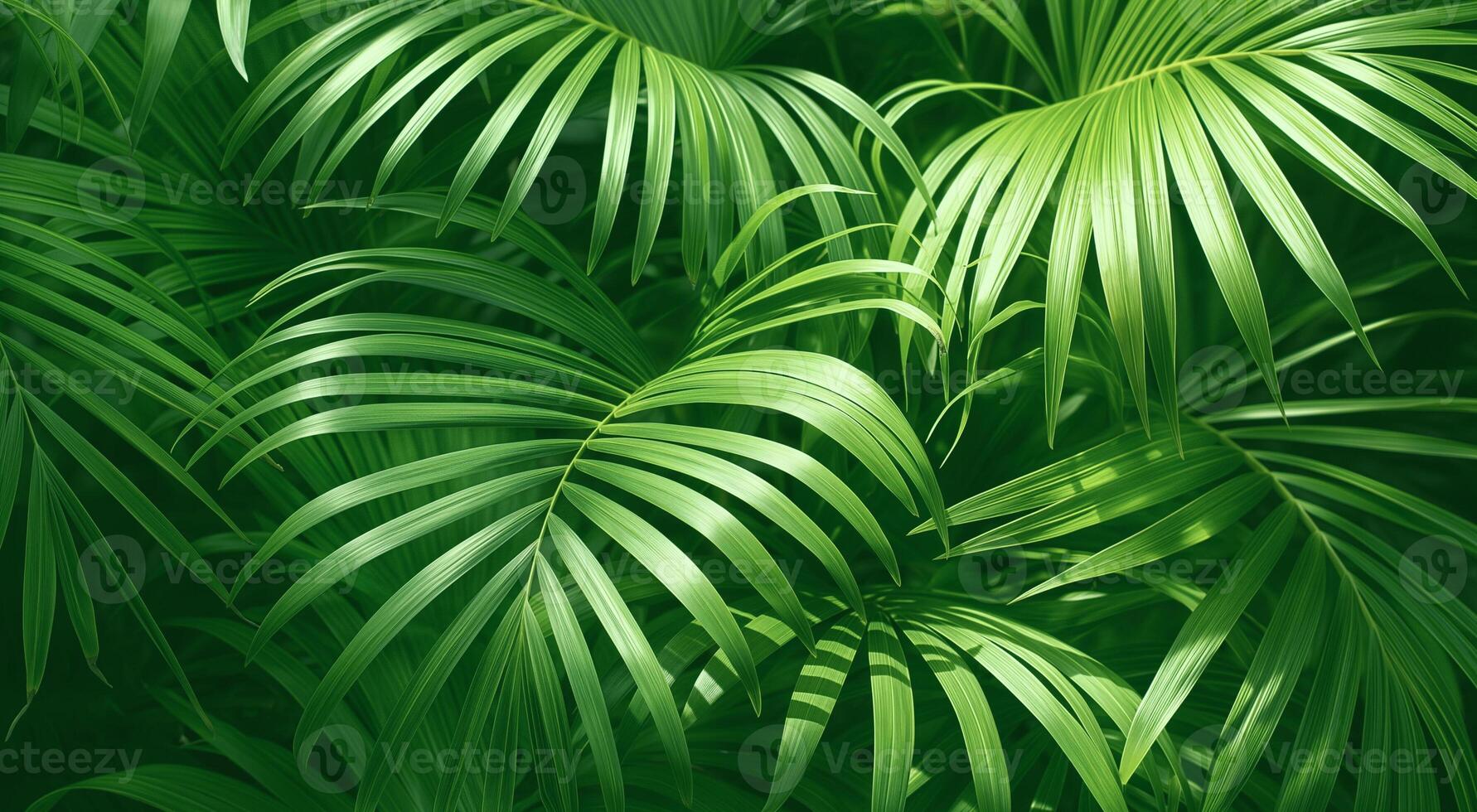AI generated Lush green palm leaves basking in soft sunlight, depicting a tranquil natural setting photo