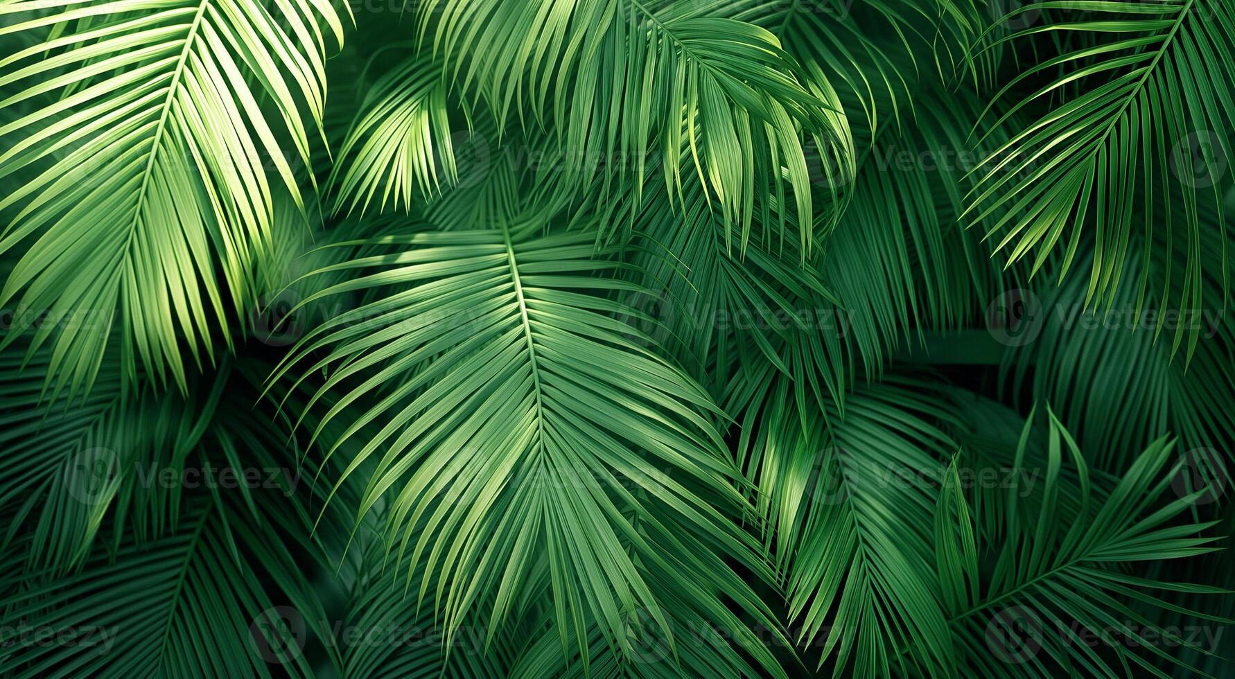 AI generated Lush green palm leaves basking in soft sunlight, depicting a tranquil natural setting photo