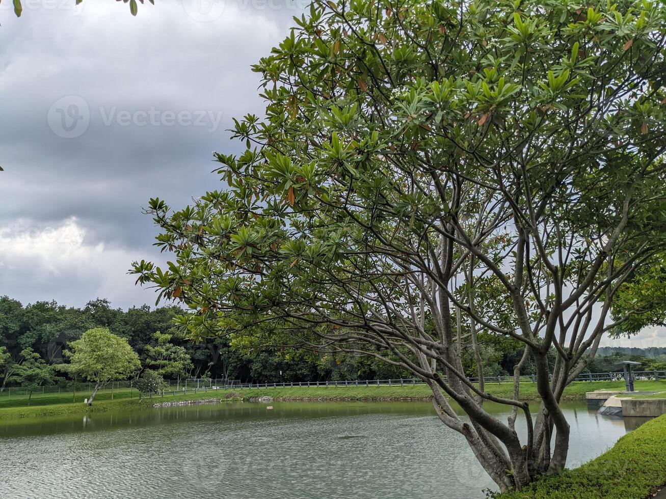 Mini jogging park on the Semarang Central Java with lake, cloudy vibes and blue sky. The photo is suitable for park background, relax and enjoy place content media.