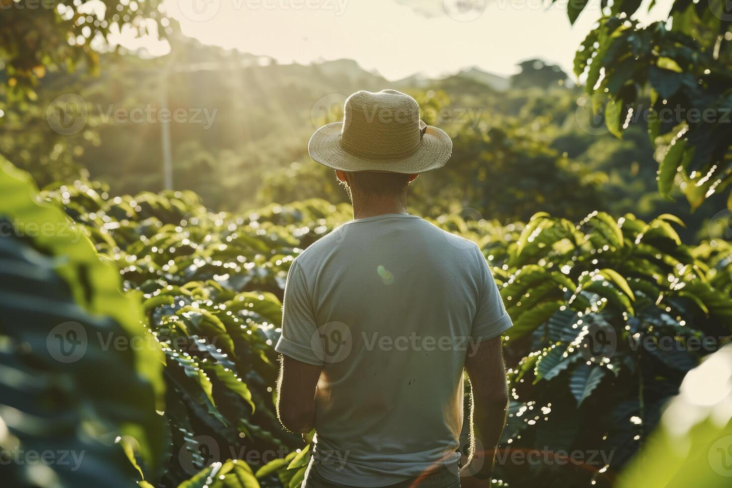 AI generated man among the plants on a cocoa plantation. generative ai photo