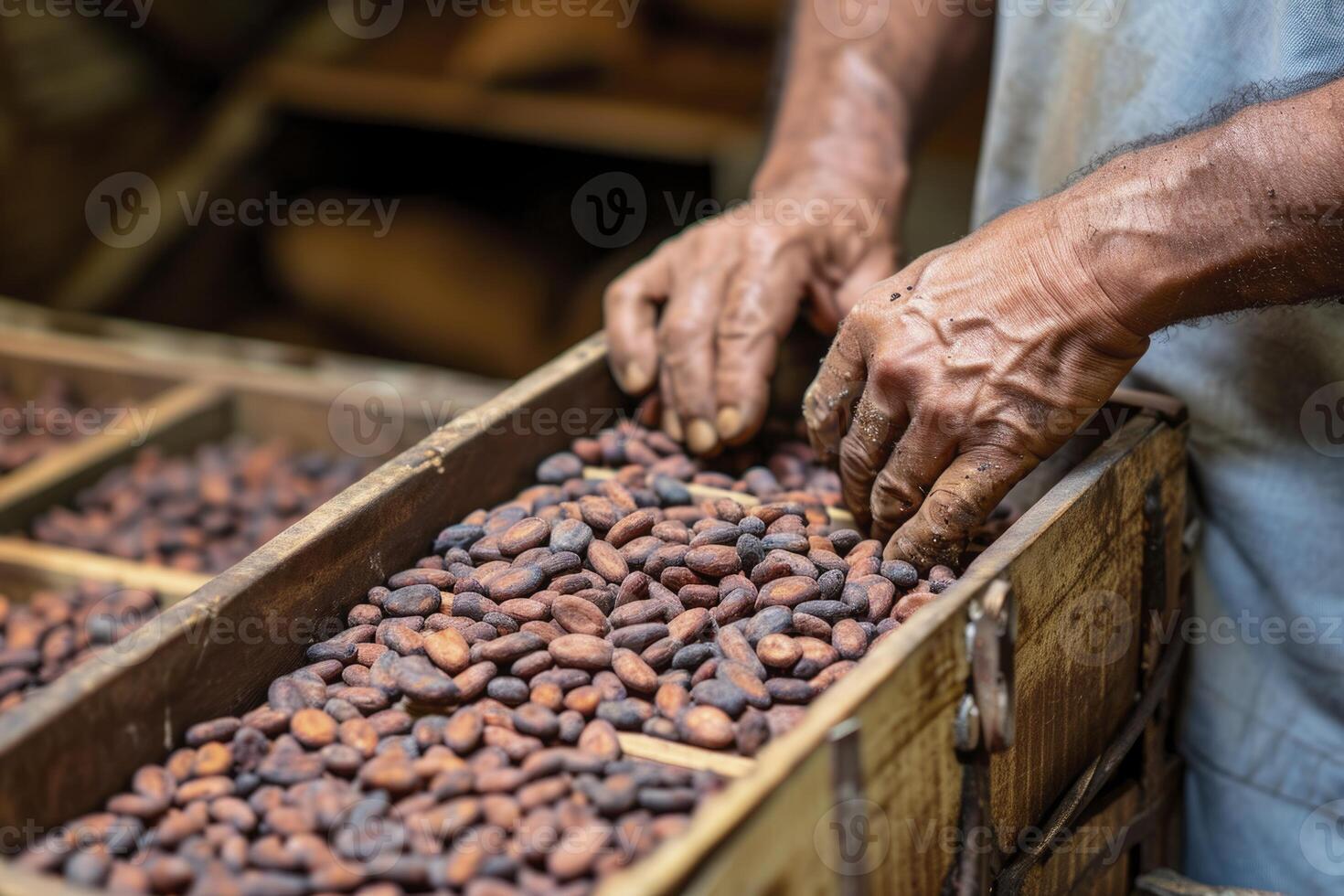 AI generated person selecting cocoa beans. generative ai photo