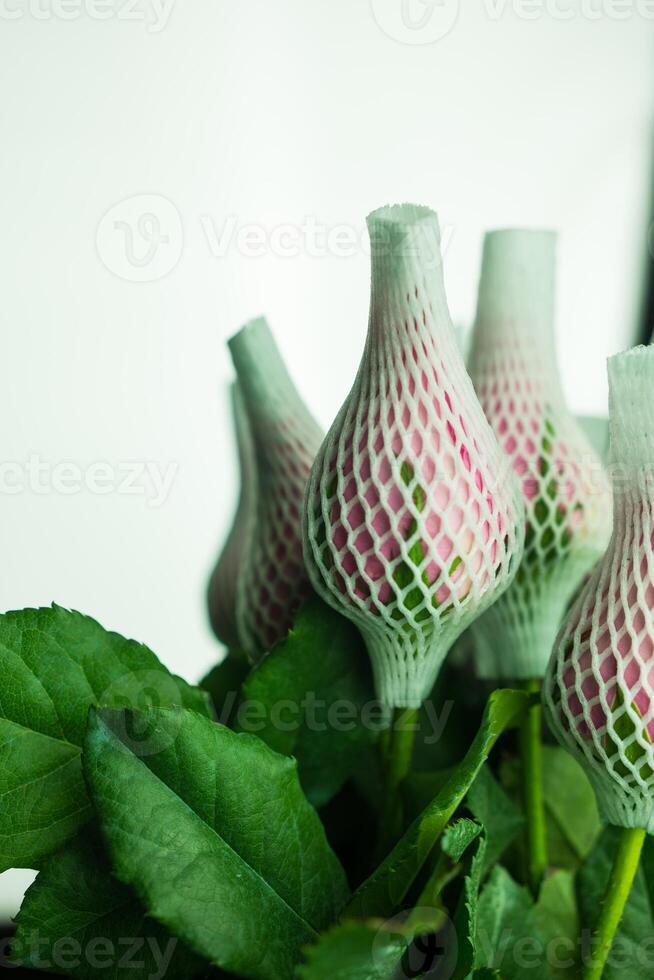 Bouquet pink rose in foam net cover. photo