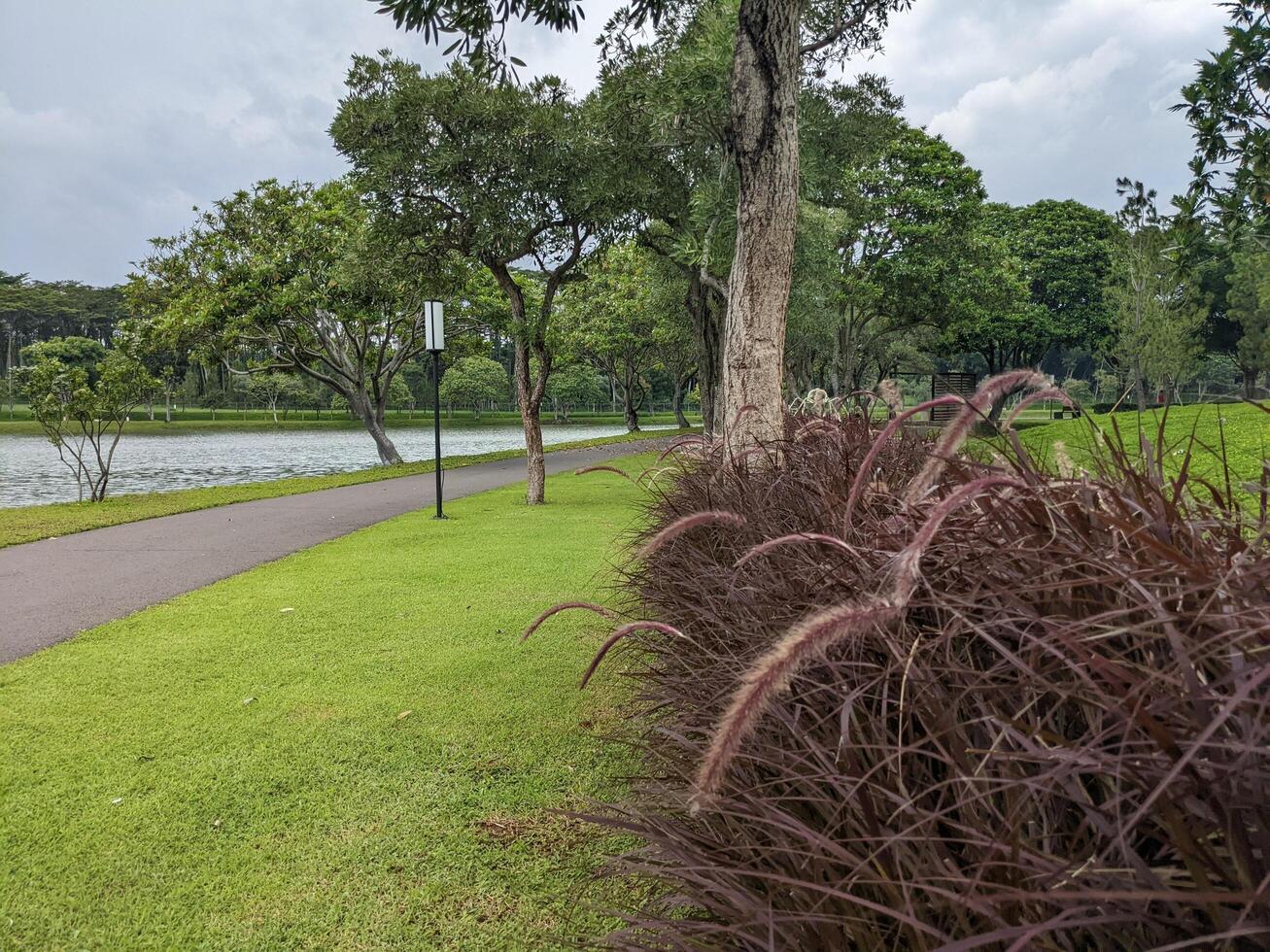 Mini jogging park on the Semarang Central Java with lake, cloudy vibes and blue sky. The photo is suitable for park background, relax and enjoy place content media.