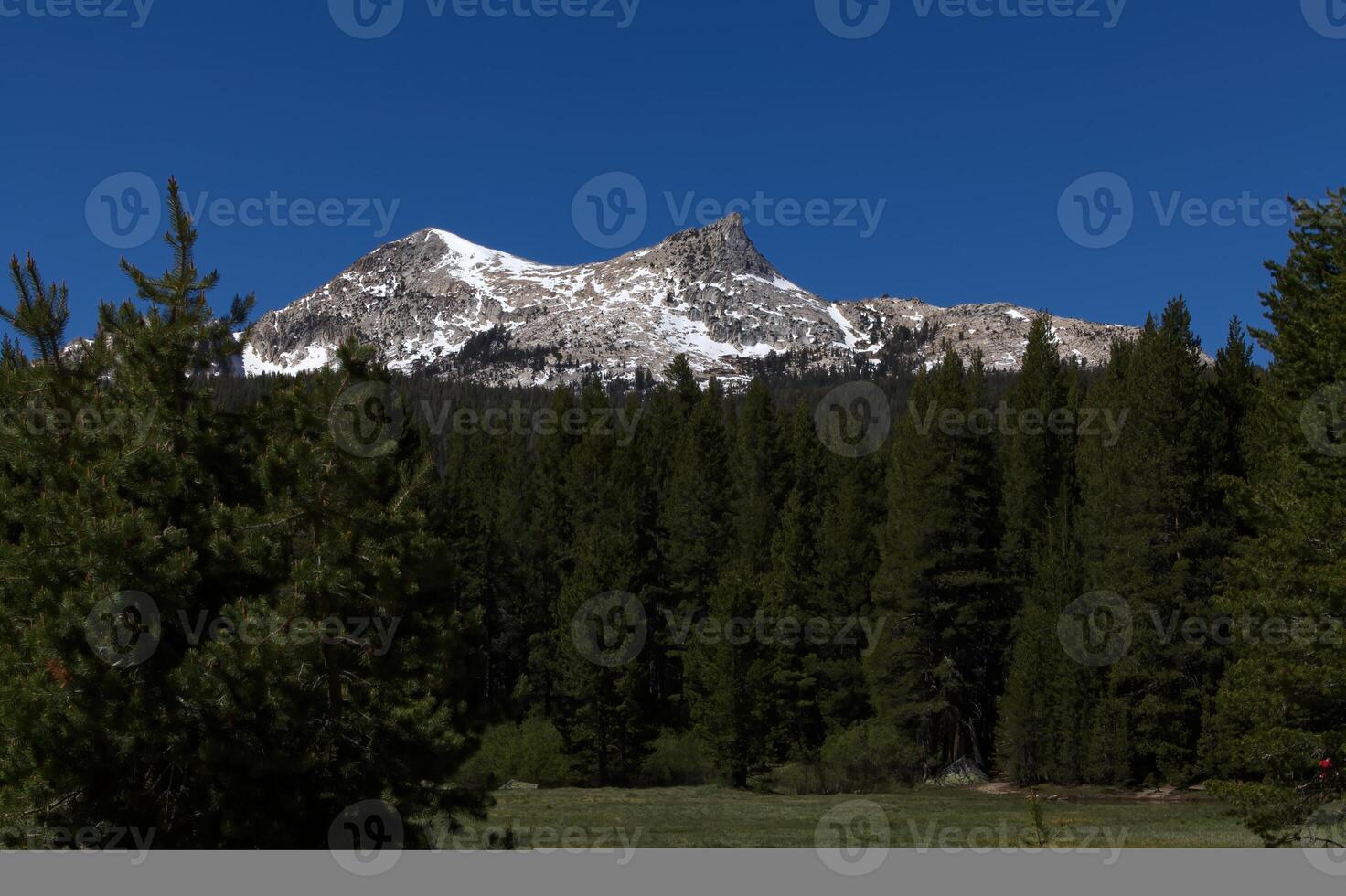 nieve en montañas y verde césped prado yosemite nacional parque foto