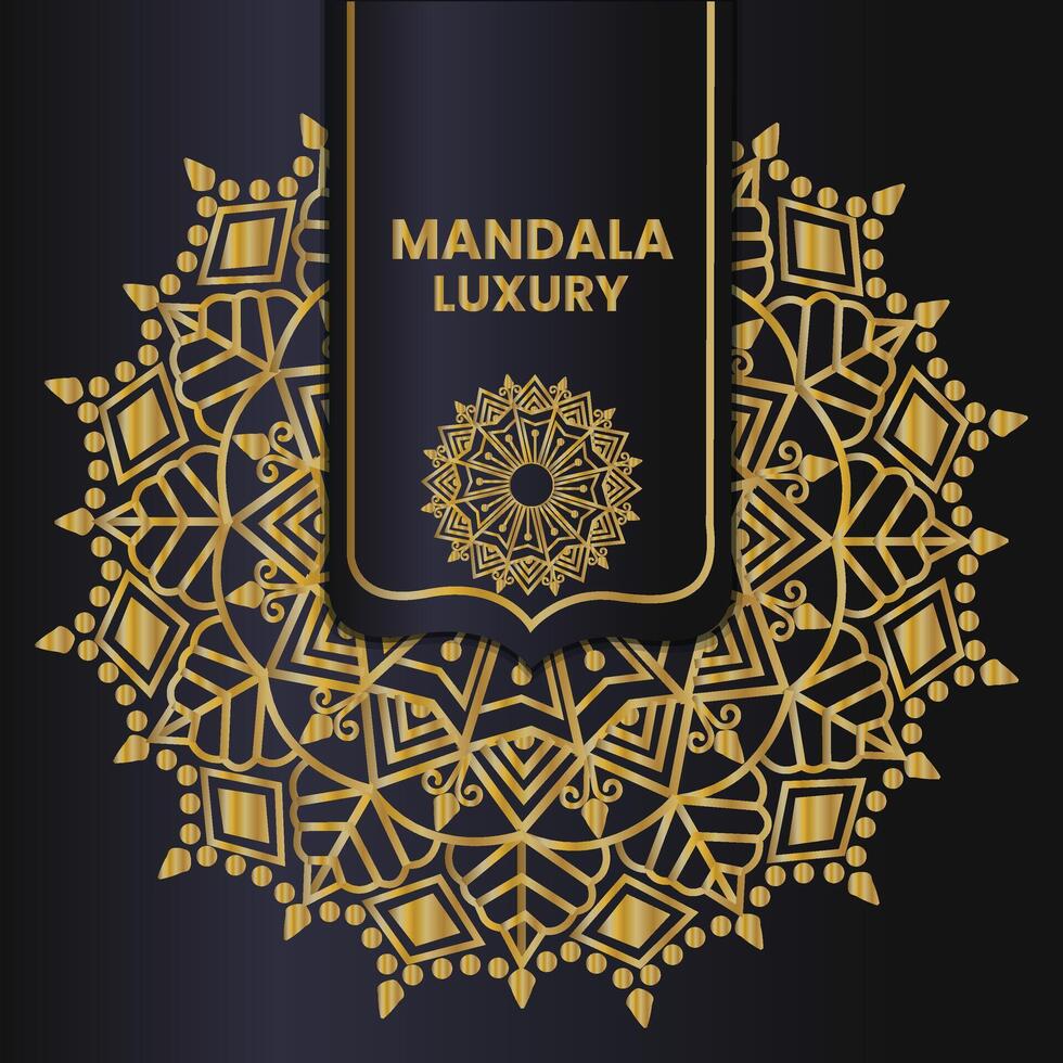 luxury mandala design vector