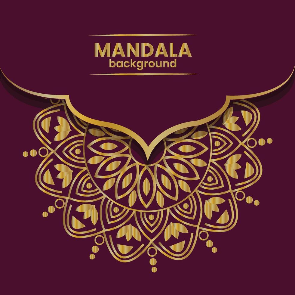 luxury mandala design vector