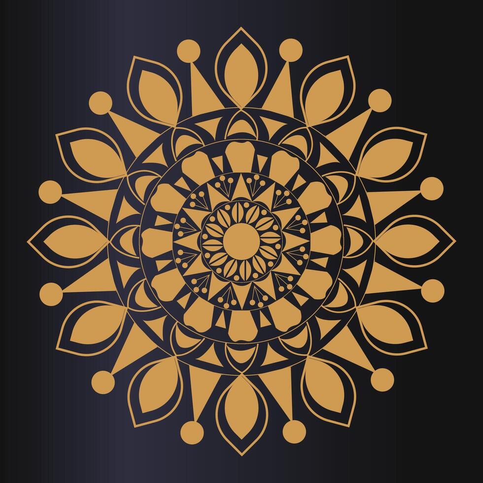 luxury mandala design vector