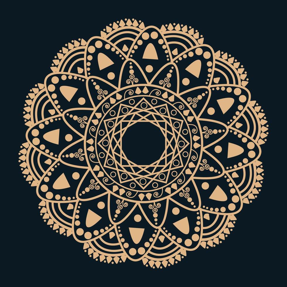 luxury mandala design vector