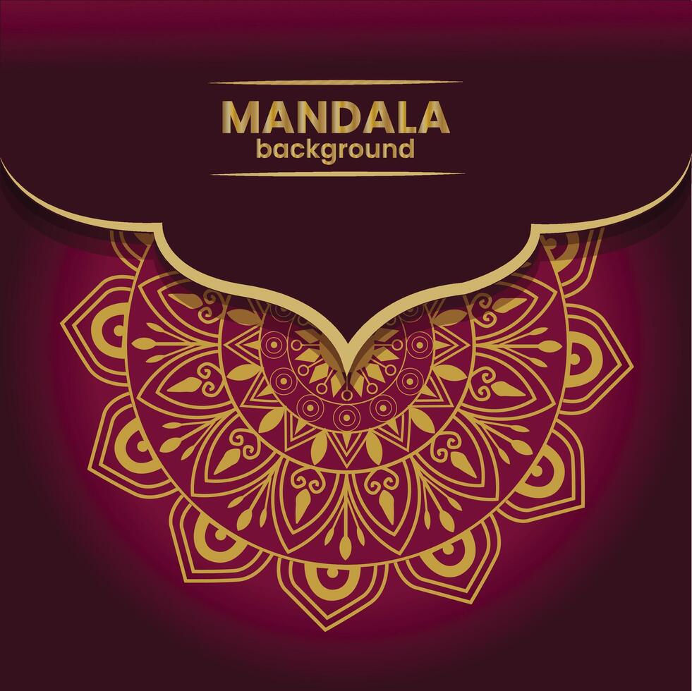 luxury mandala design vector
