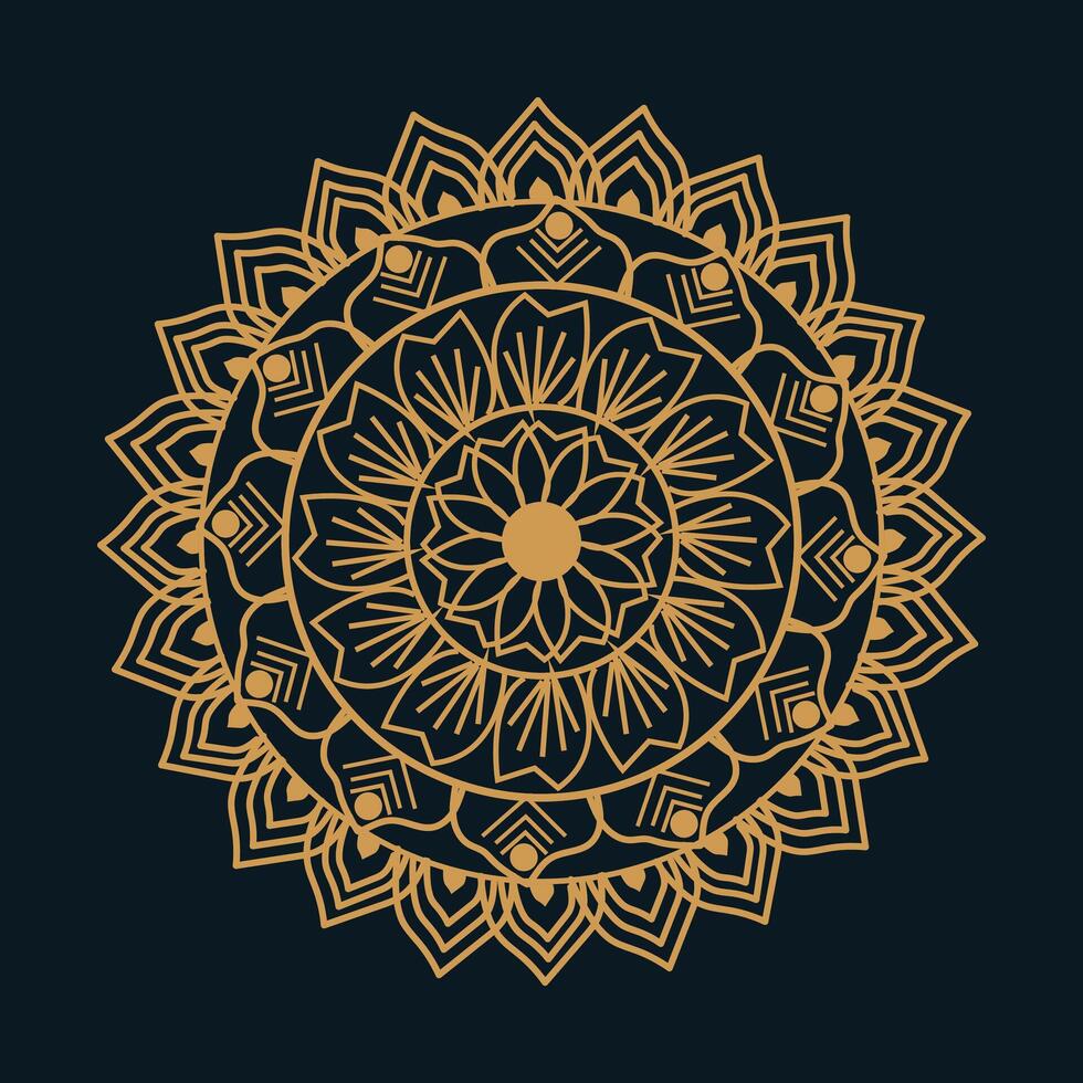 luxury mandala design vector