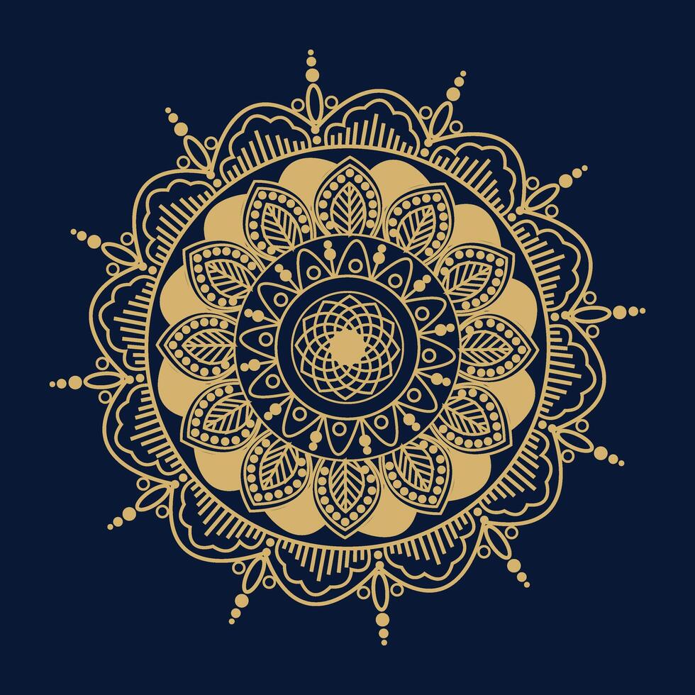 luxury mandala design vector