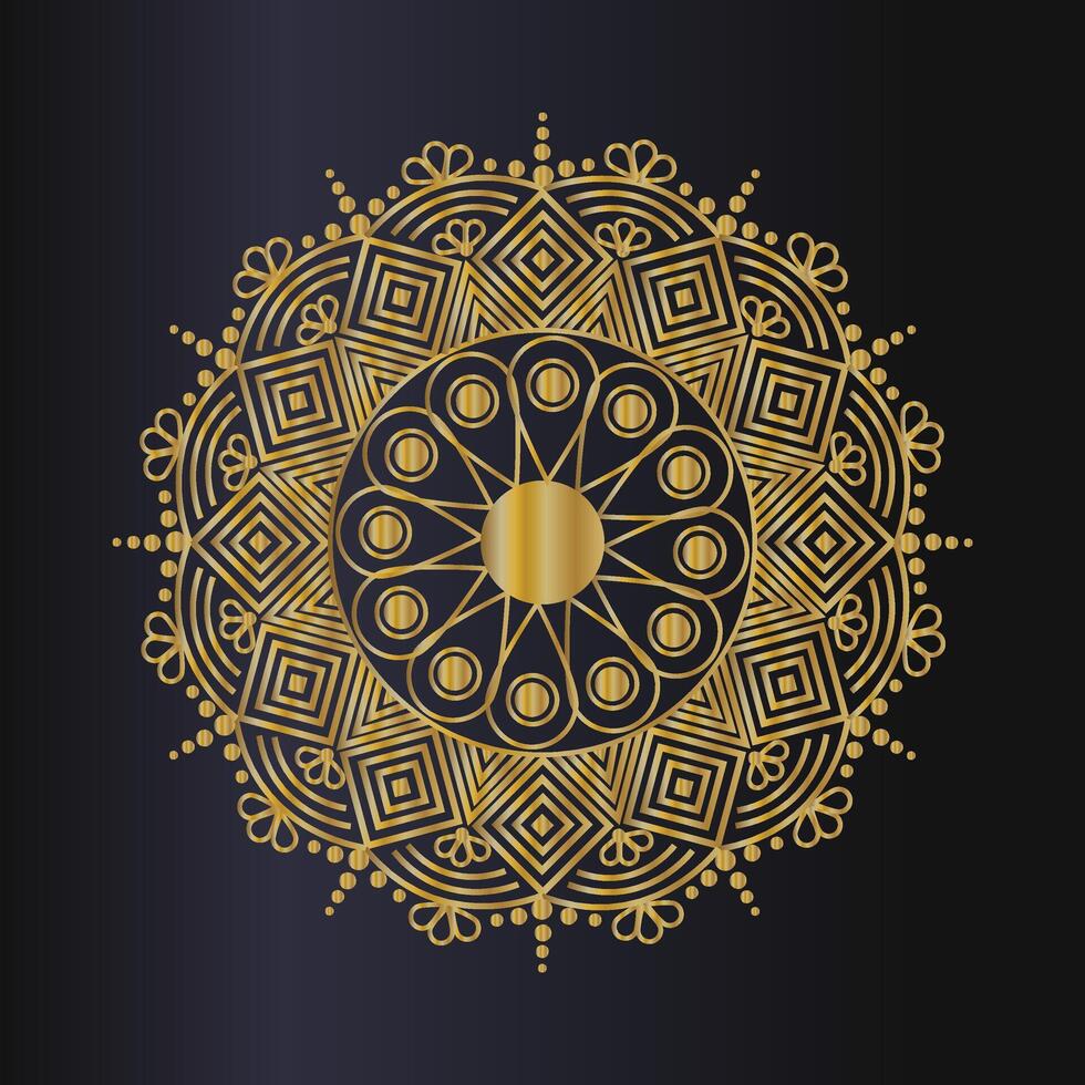 luxury mandala design vector