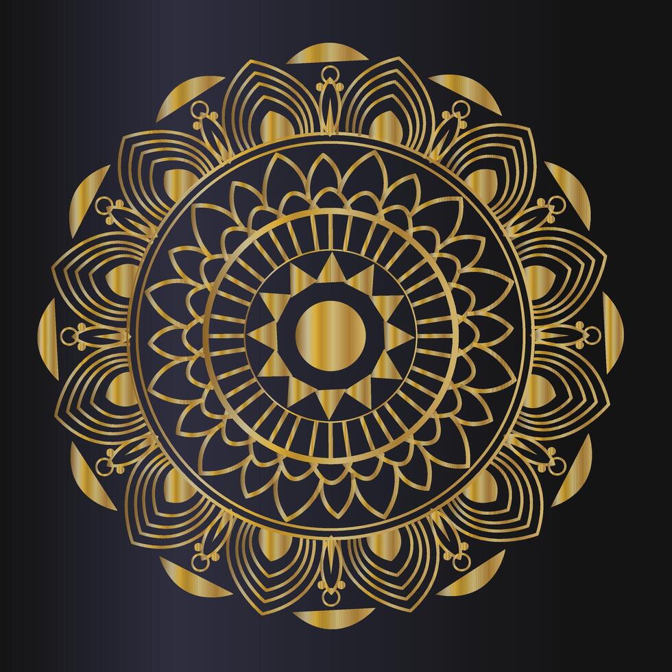luxury mandala design vector