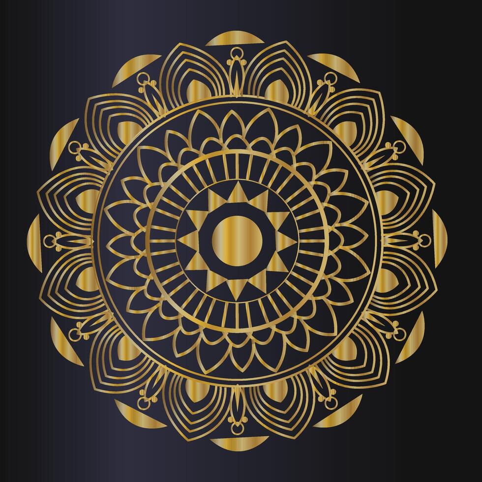 luxury mandala design vector