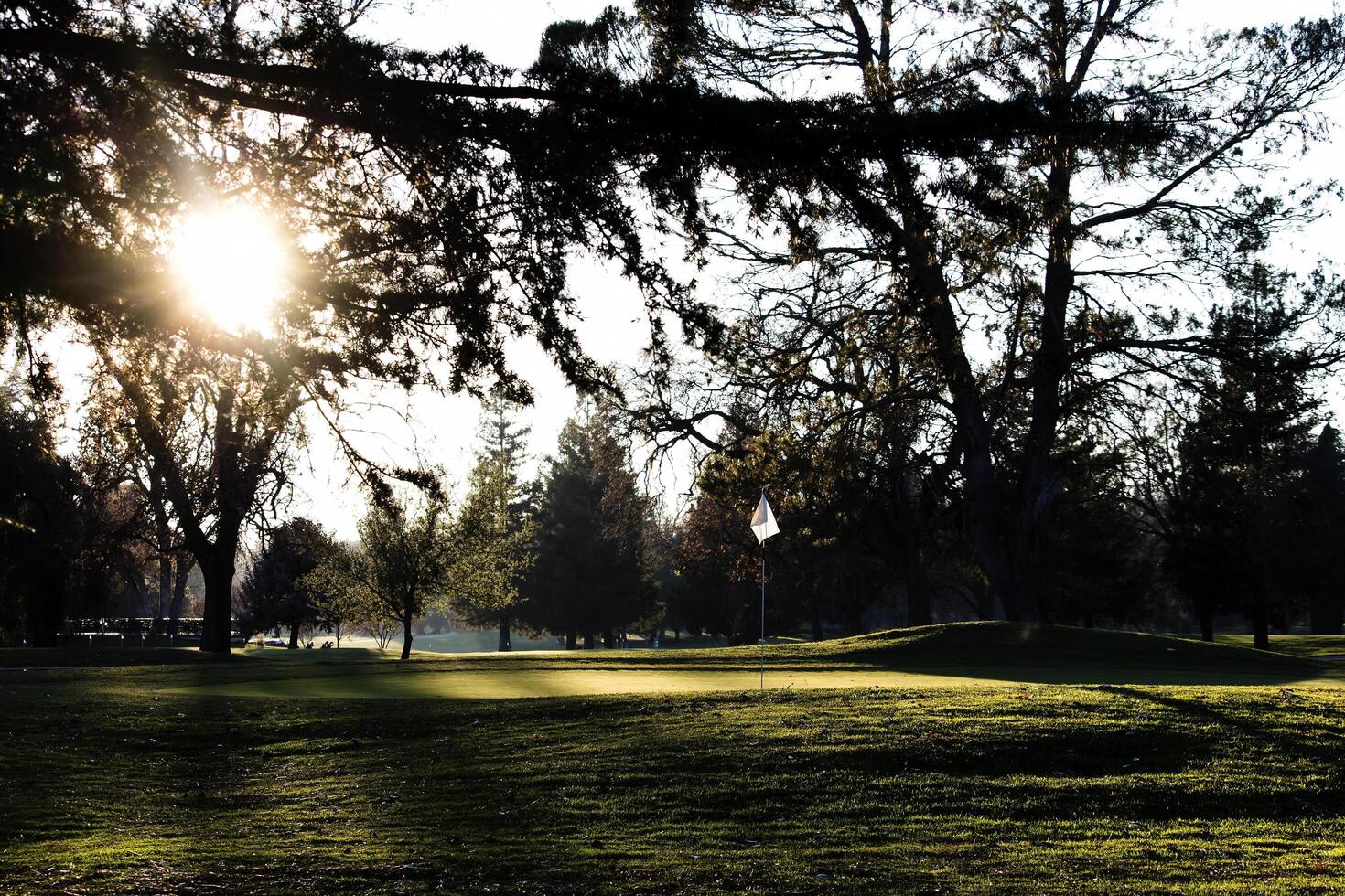 Carmichael, CA, 2015 - Flag And Pole On Golf Course Green photo