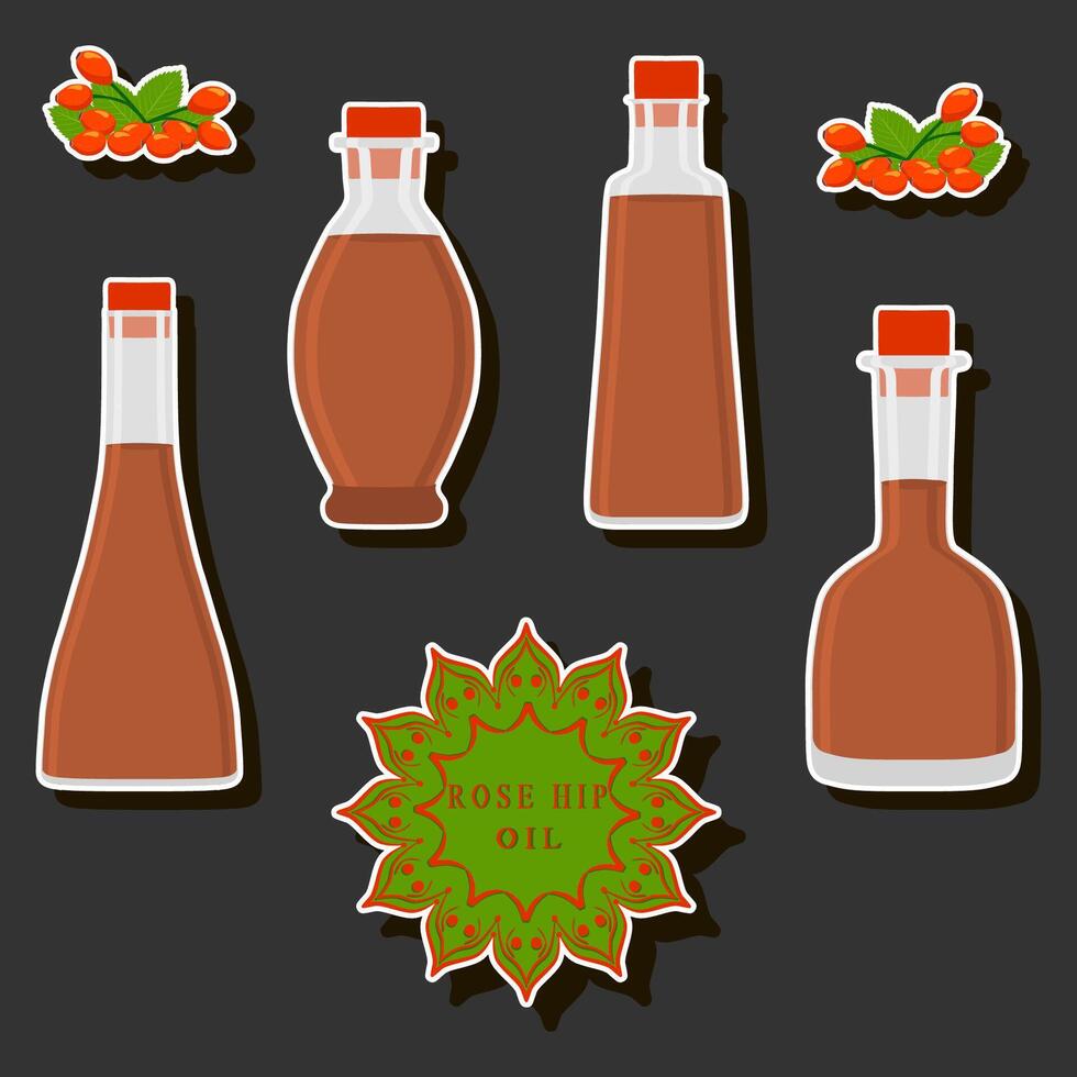 Illustration on theme big set different types liquid oil, bottle various size vector