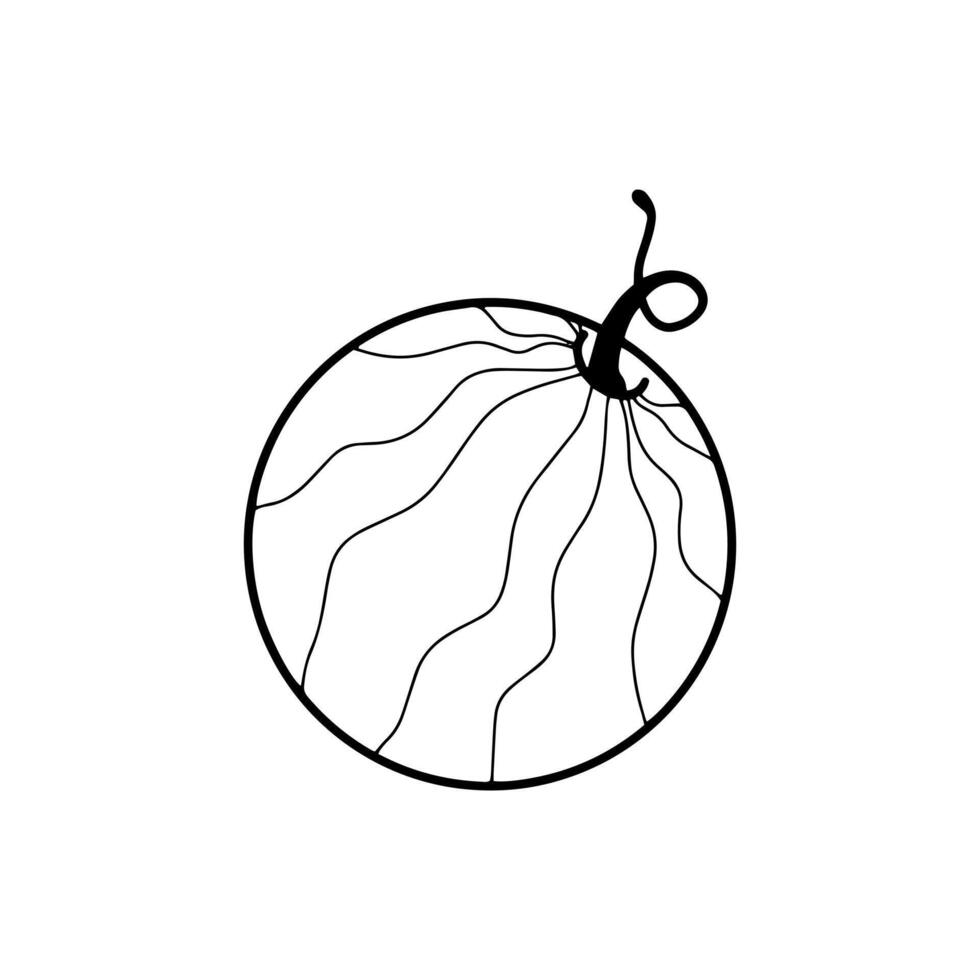 watermelon black and white vector. vector