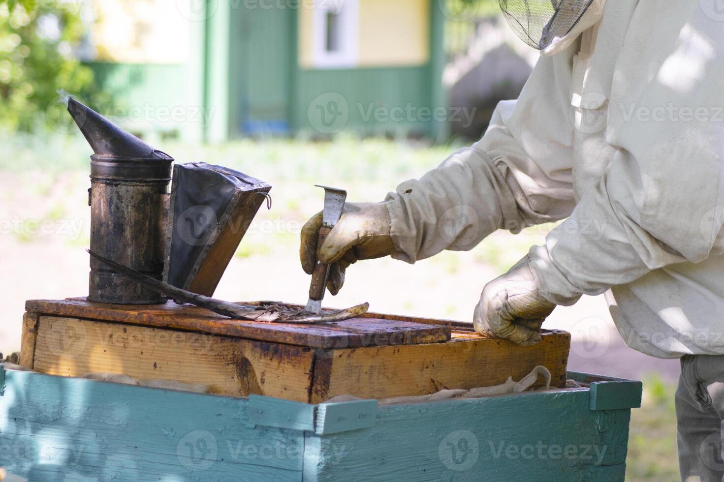 professional beekeeper in protective workwear inspecting honeycomb frame at apiary. beekeeper harvesting honey photo