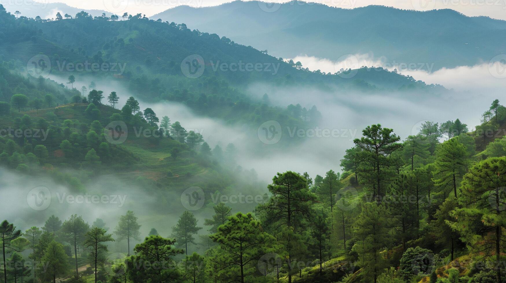 AI generated Enchantment upon the Fog-shrouded Green Mountains photo