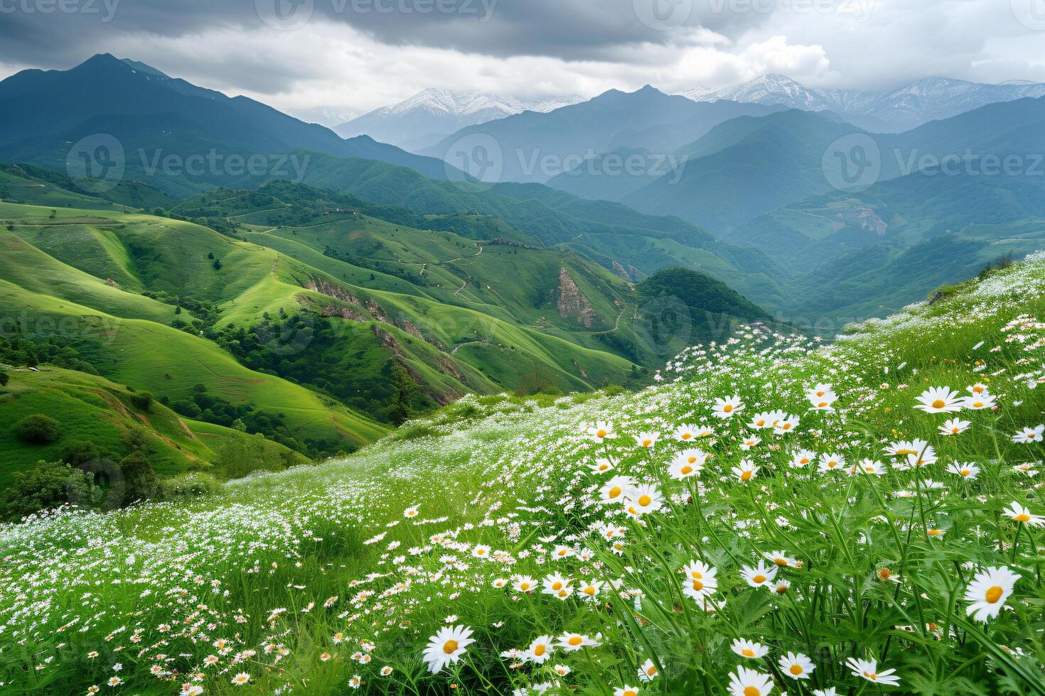 AI generated The Serene Beauty of Green Hills in Highlands Decorated with White Daisies photo