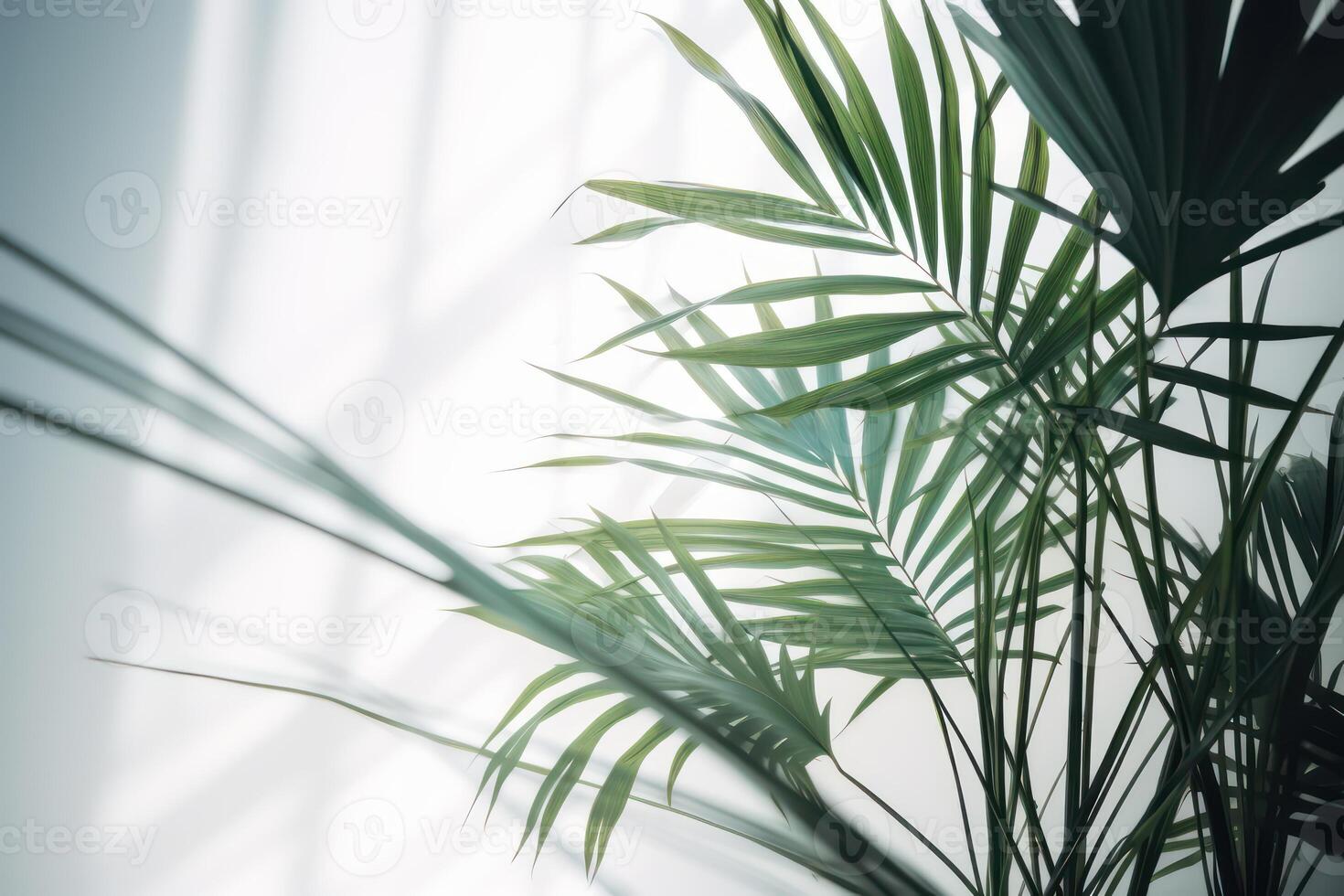 AI generated Palm leaf and shadows on white wall, abstract background. Generative AI photo