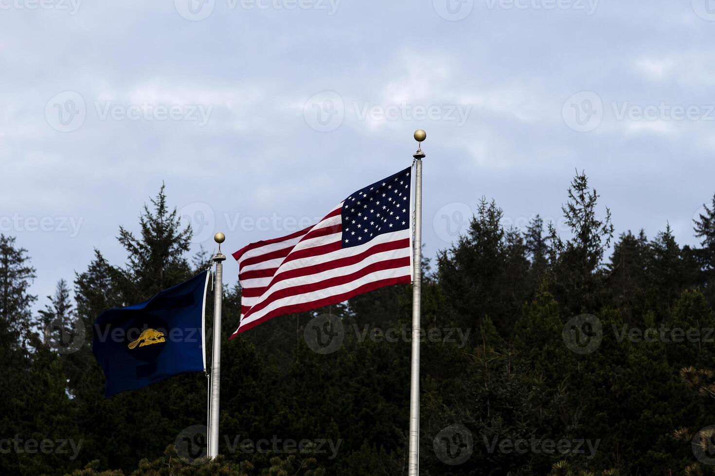 US And Back Side Of Oregon State Flag Against Trees photo