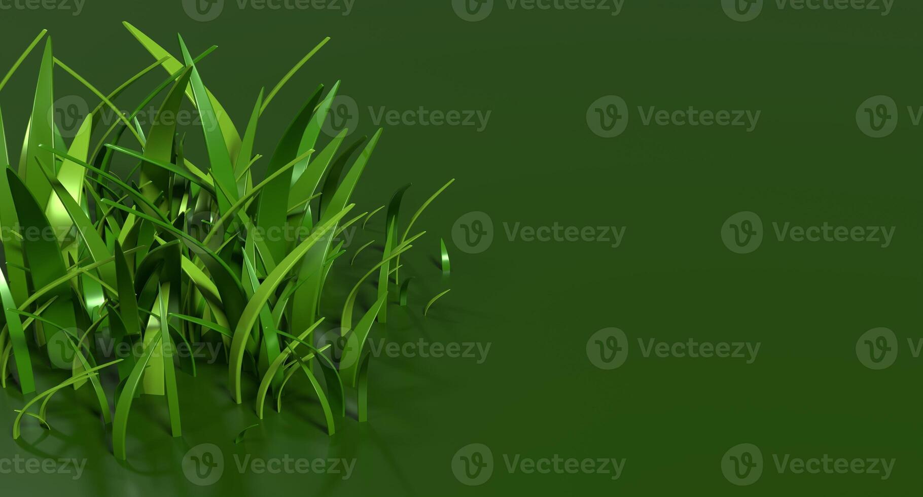 3D rendering of green grass. Nature grass cartoon. Green grass path isolated. 3D rendering illustration photo