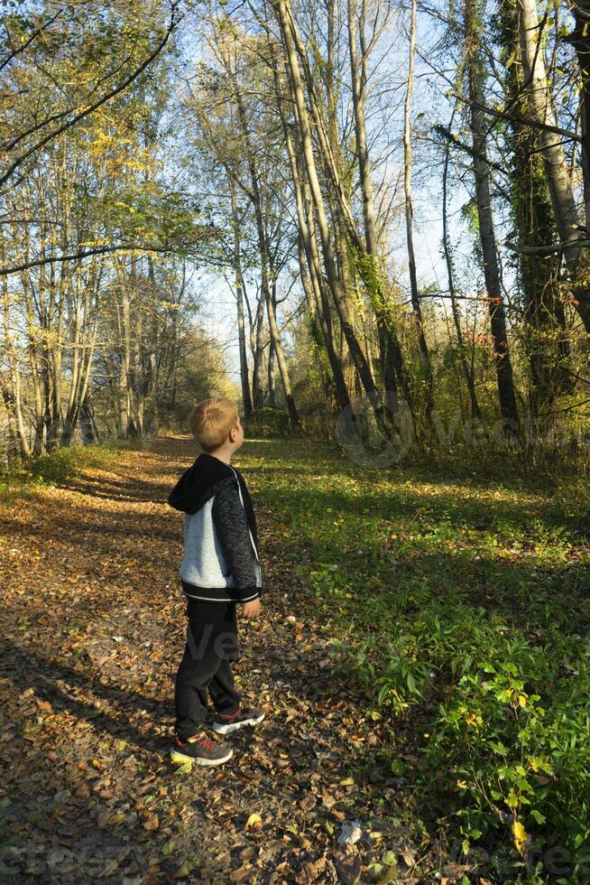 a young boy walking on a path in the woods photo