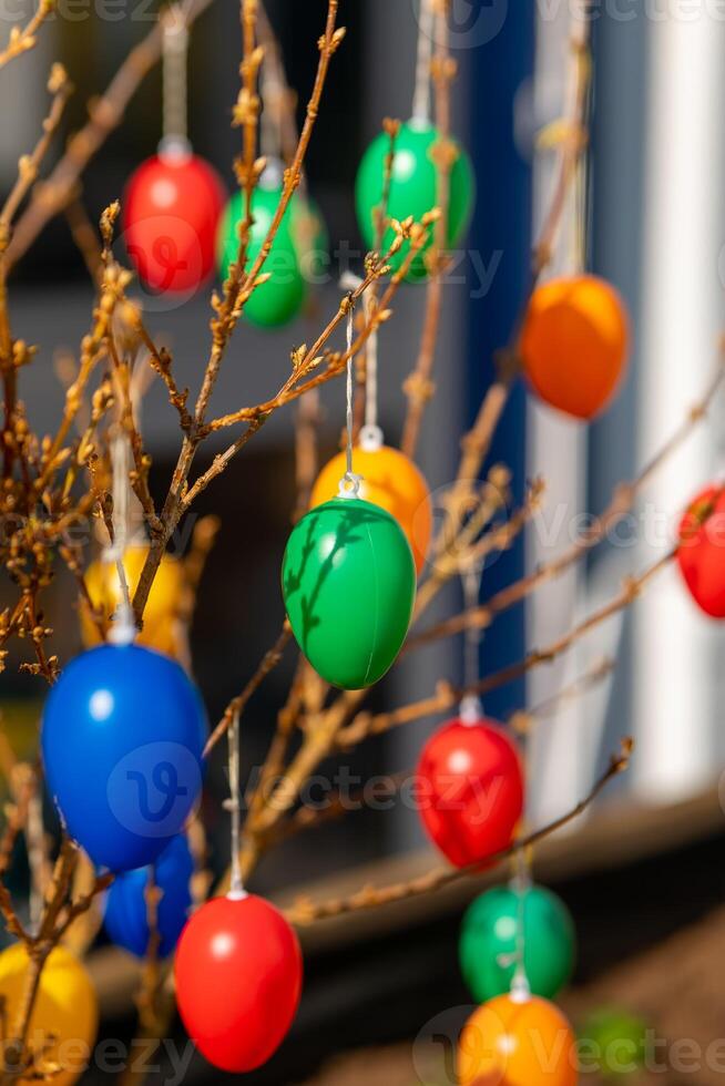 eggs as easter decoration on a bush photo