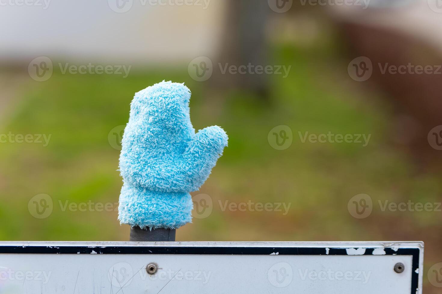 little baby glove in winter photo