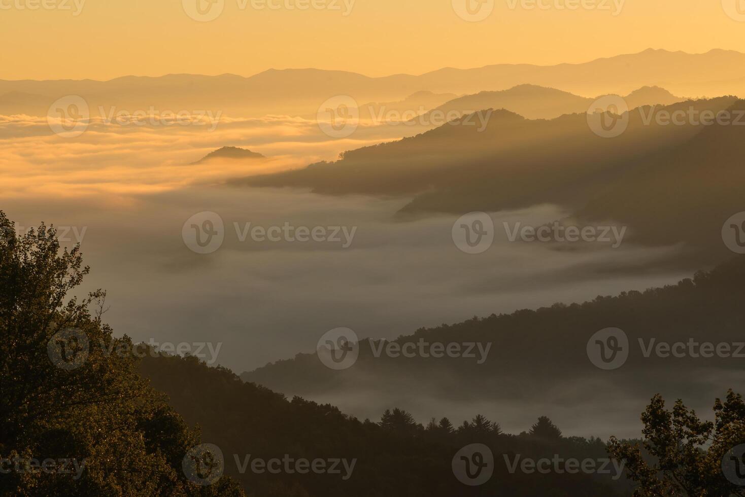 Golden cloud inversion sunrise on a mountain summit in Appalachia photo