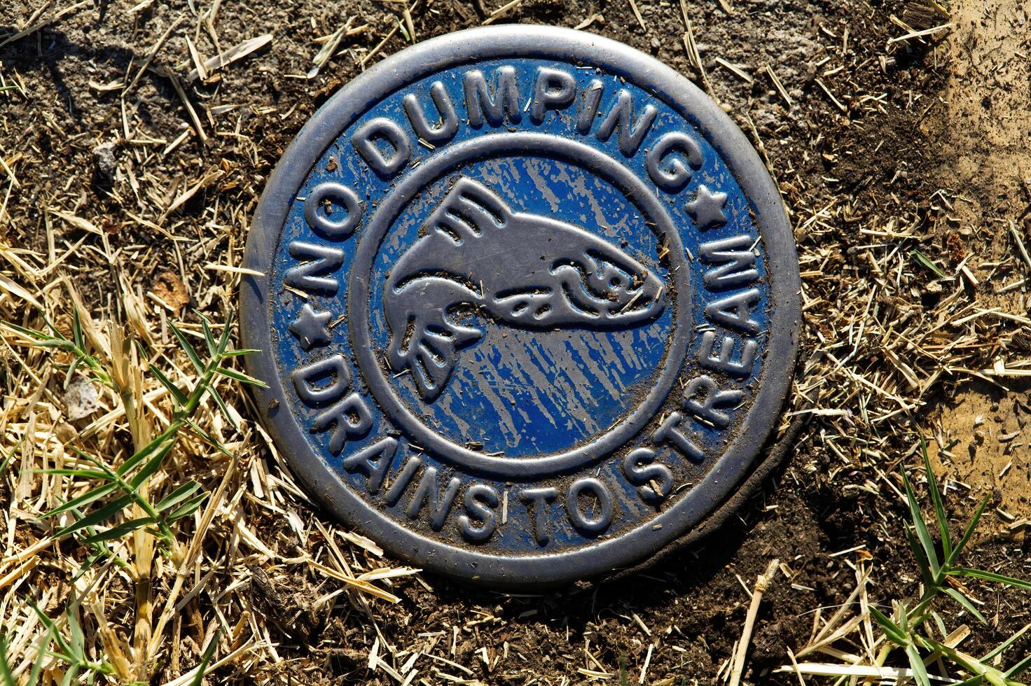 Ashland, OR, 2022 - No Dumping Sign Drains To Stream On Ground With Grass photo