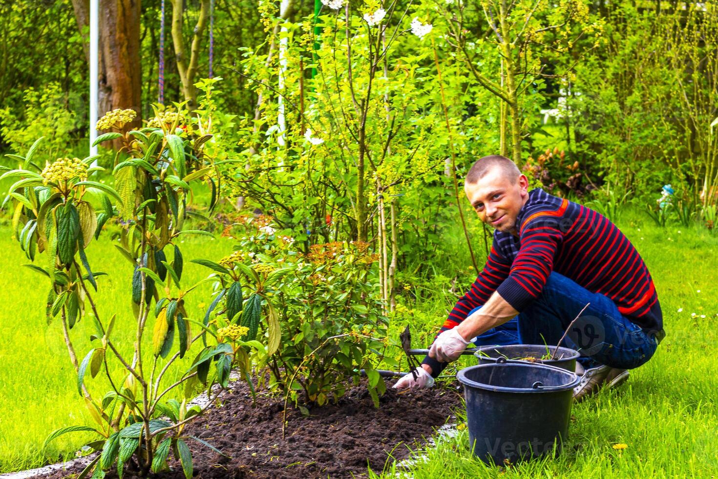 Young man working in the garden beds in Germany. photo