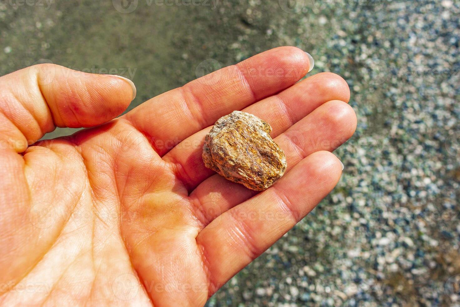 Stone in the hand holding in Rondane National Park Norway. photo