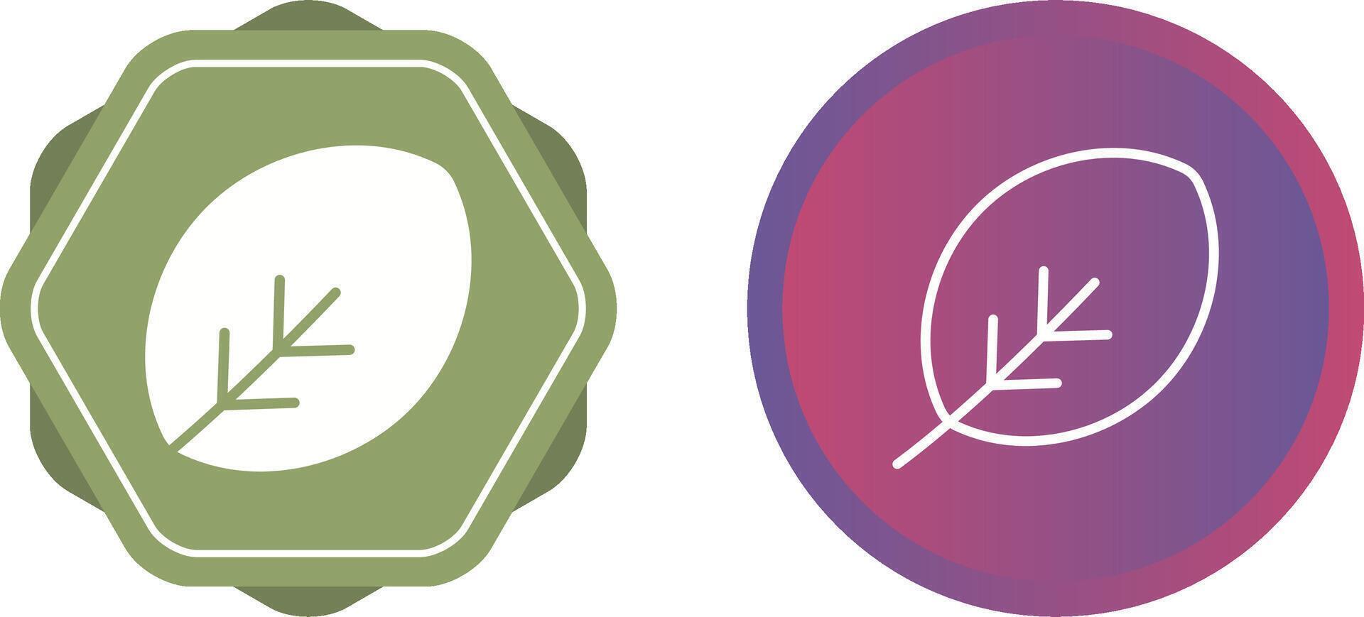 Leaf Vector Icon