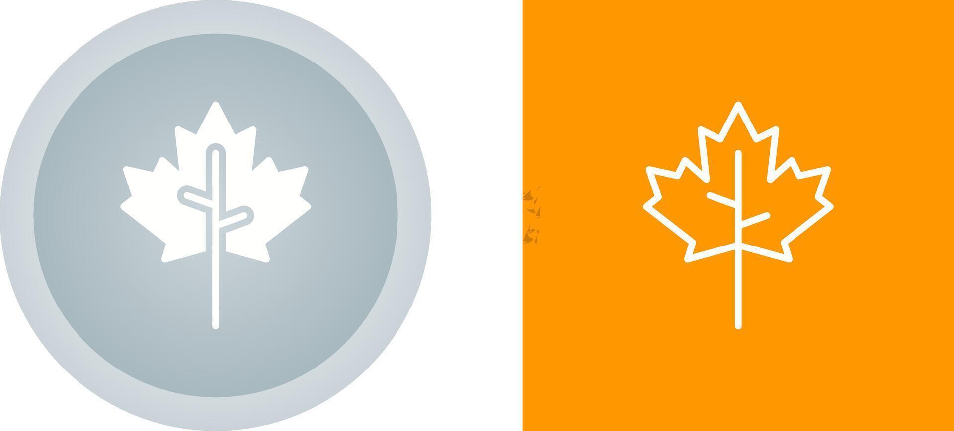 Maple leaf Vector Icon