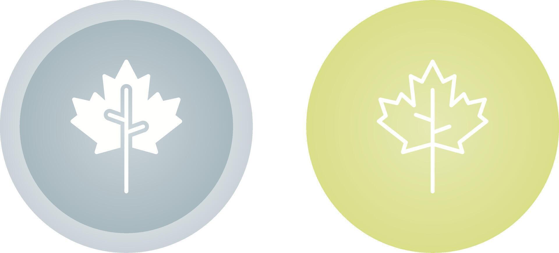 Maple leaf Vector Icon