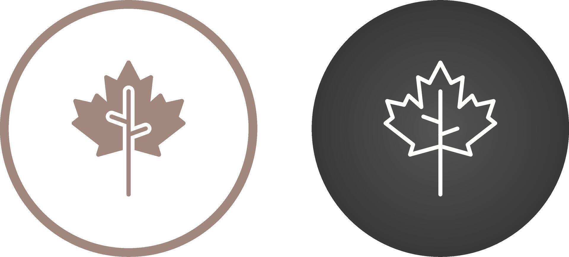 Maple leaf Vector Icon