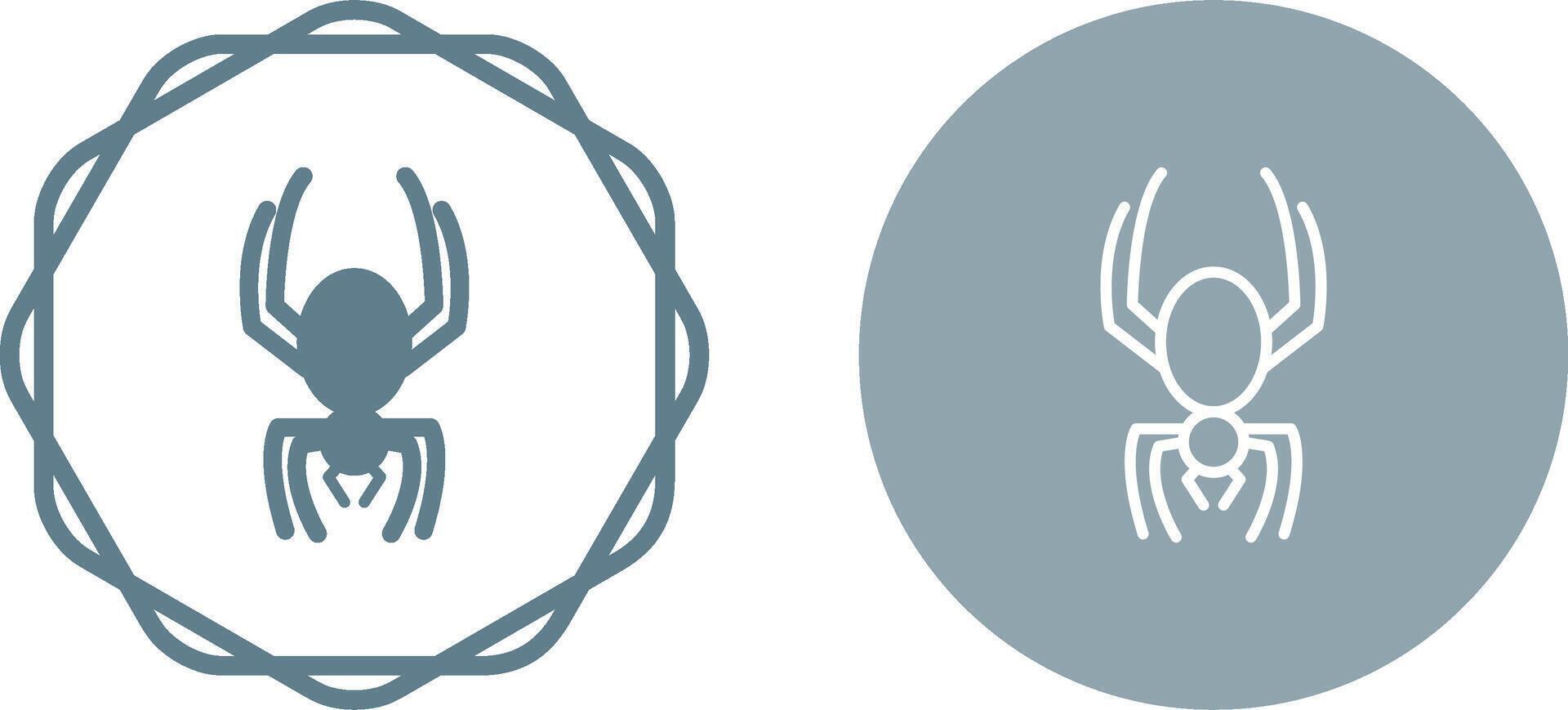 Spider Vector Icon